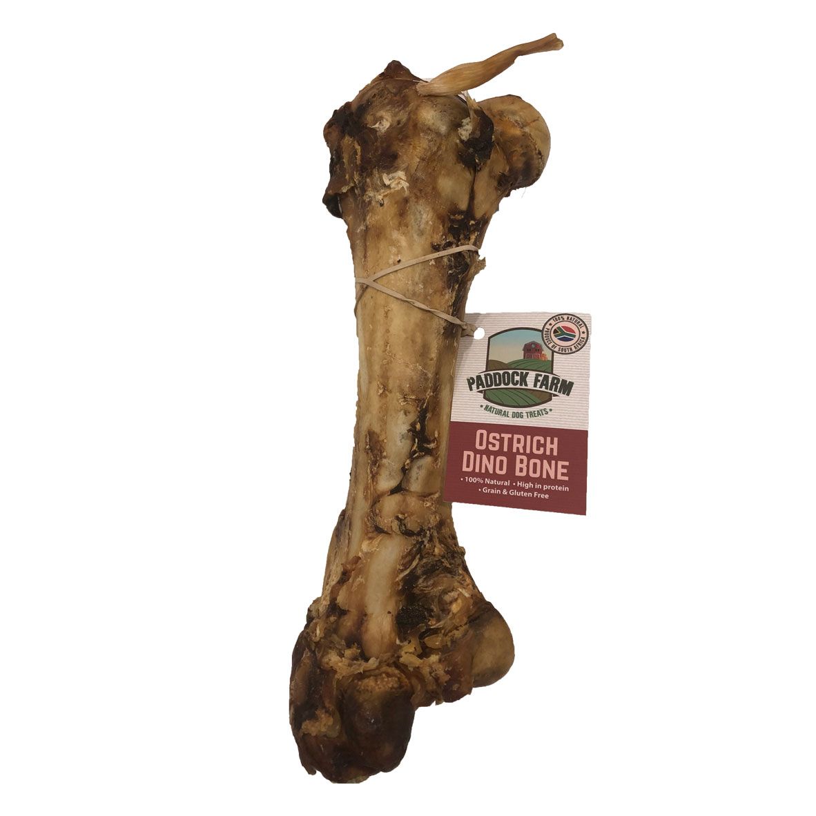 Antos Paddock Farm Ostrich Dino Bone Bitzers Pet Store